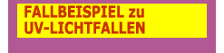 Fallbeispiel zu UV-Lichtfallen